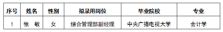 嘉來(lái)建工公司公開招聘綜合部副經(jīng)理擬錄用人選公示